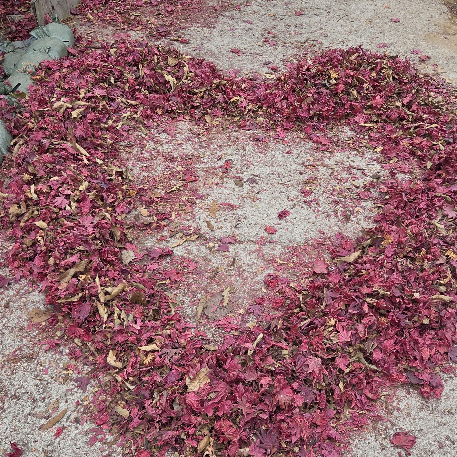 A moment captured by a fan of Lee Solomon