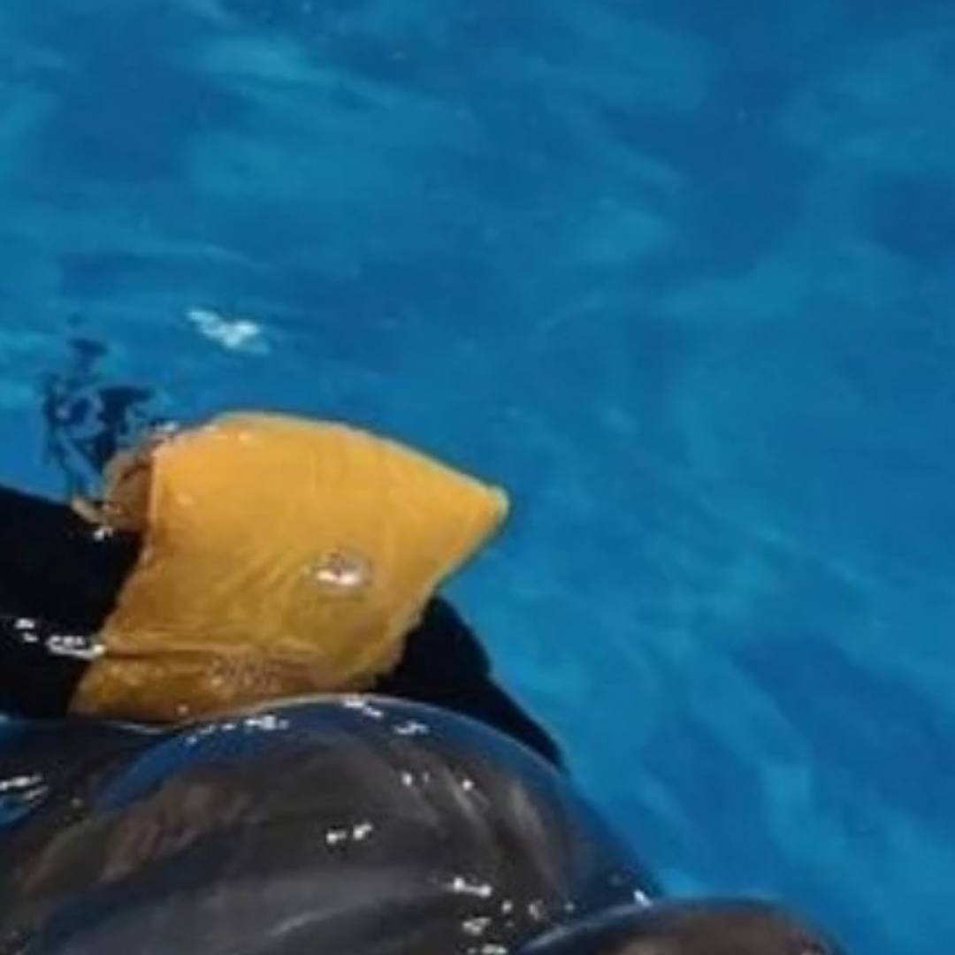 Behind-the-scenes cut of Force Jiratchapong Srisang