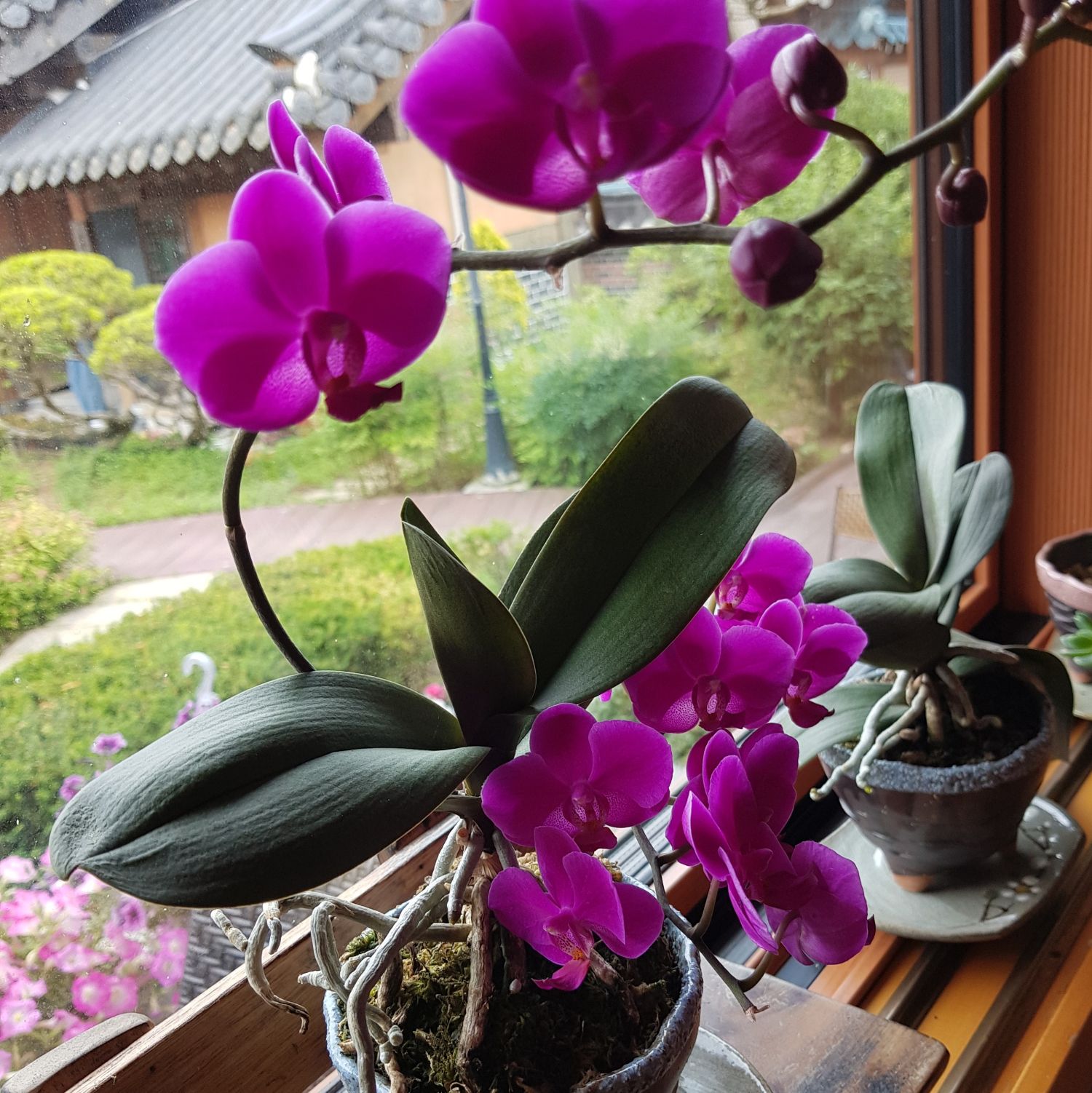 Behind-the-scenes cut of Kang Moonkyung