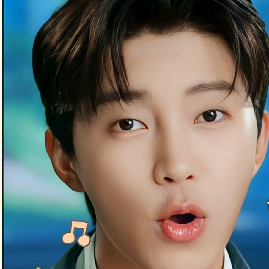 임영웅 팬이 찍은 순간