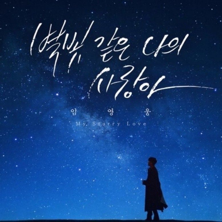 임영웅 팬이 찍은 순간