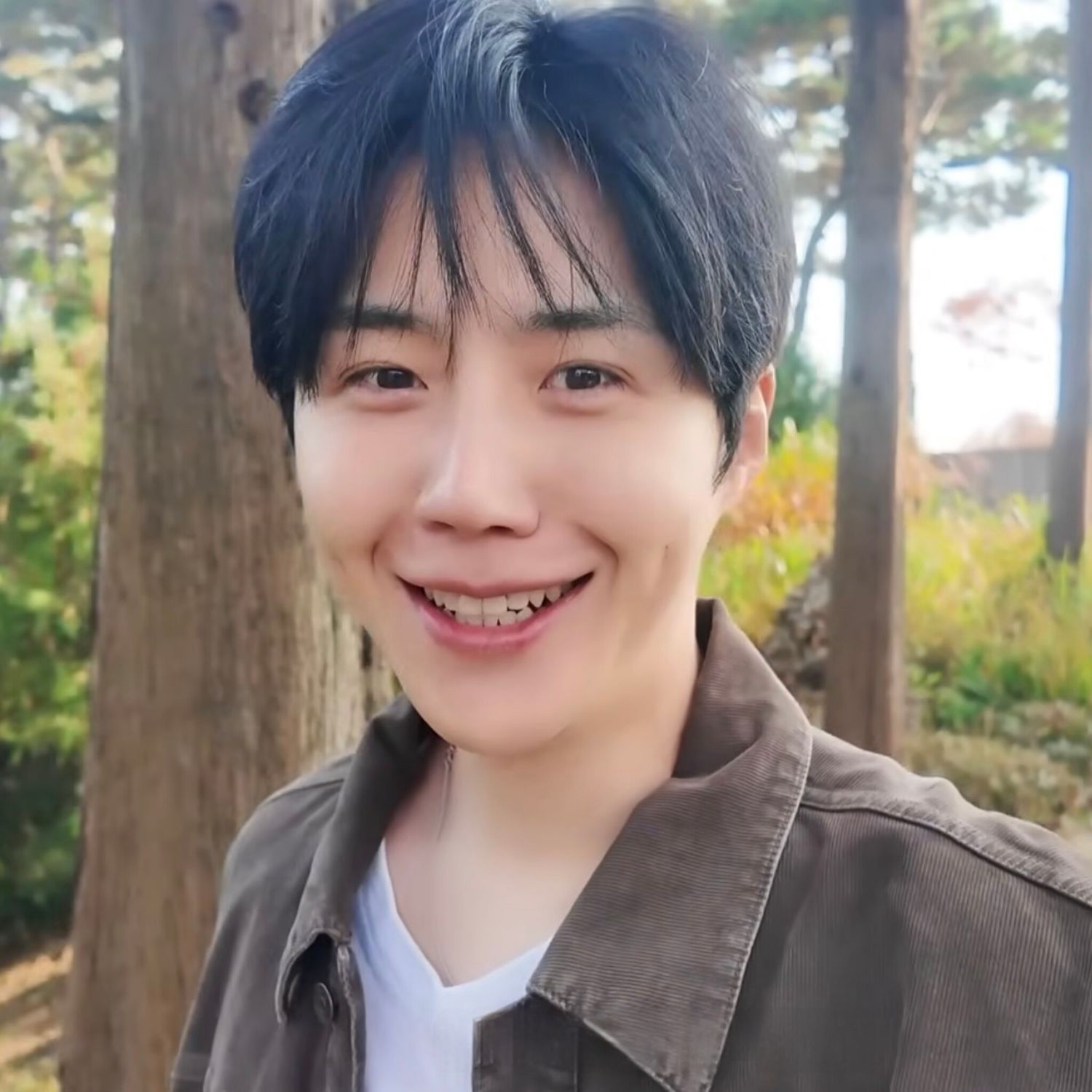 金宣虎的近期活動照