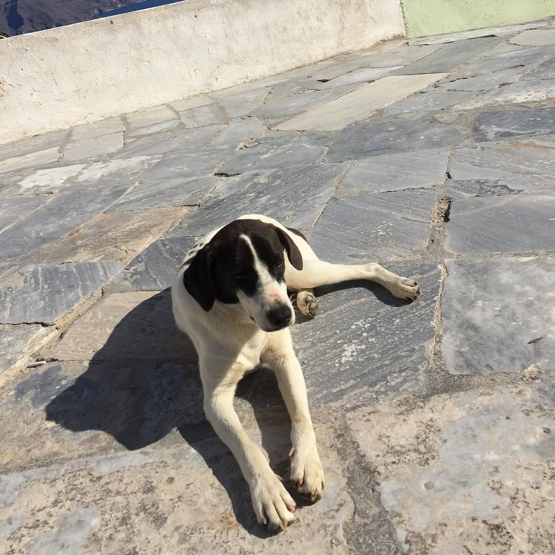 Latest photo of Jung Somin
