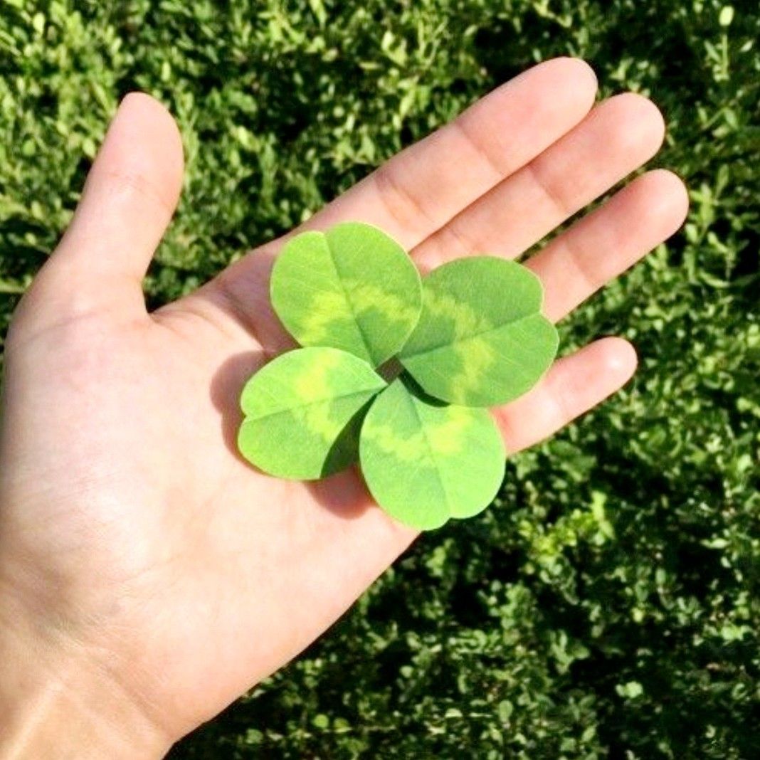 趙明燮的最新照片