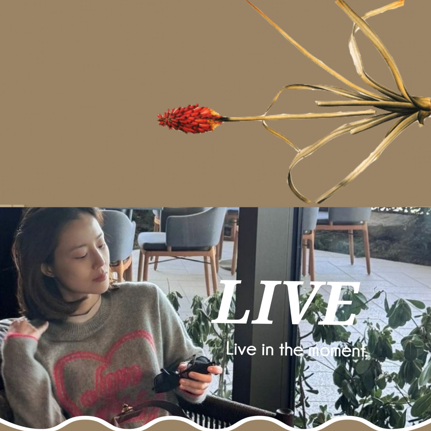문채원의 최신 사진