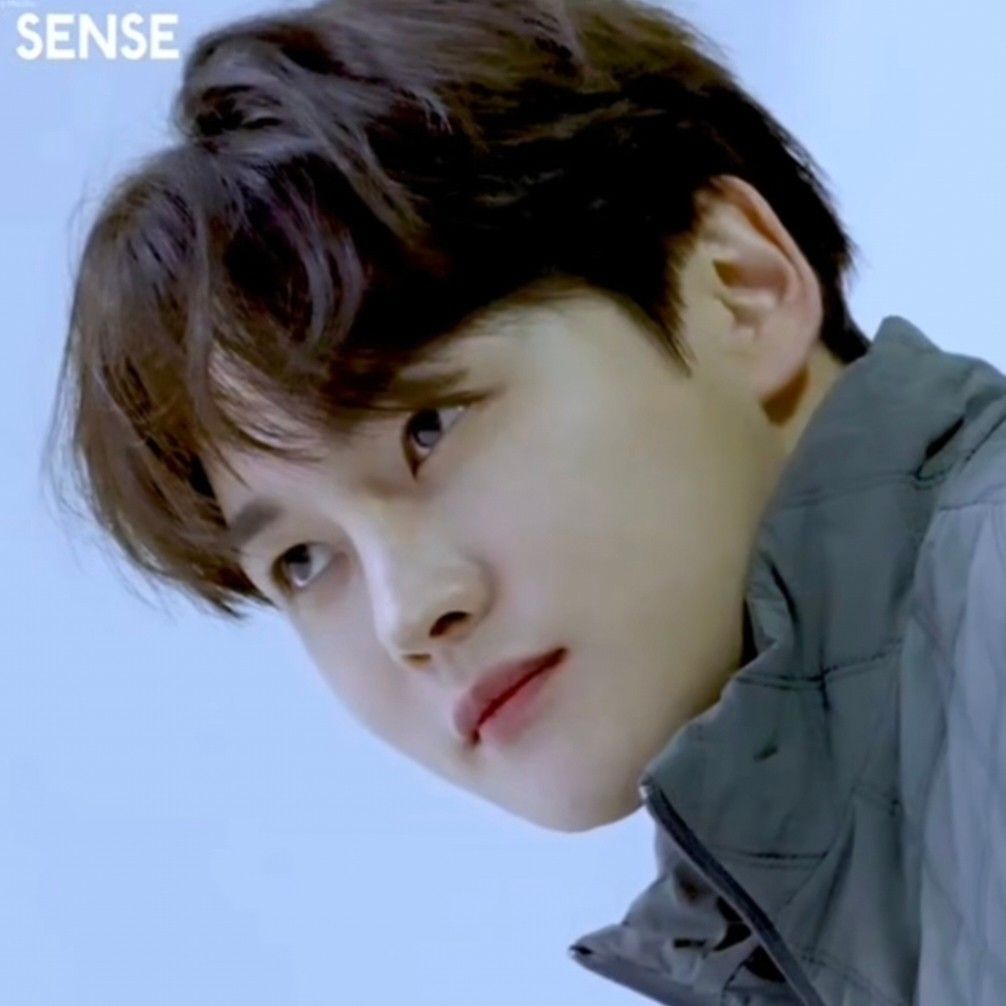 朴瑞鎮的近期活動照