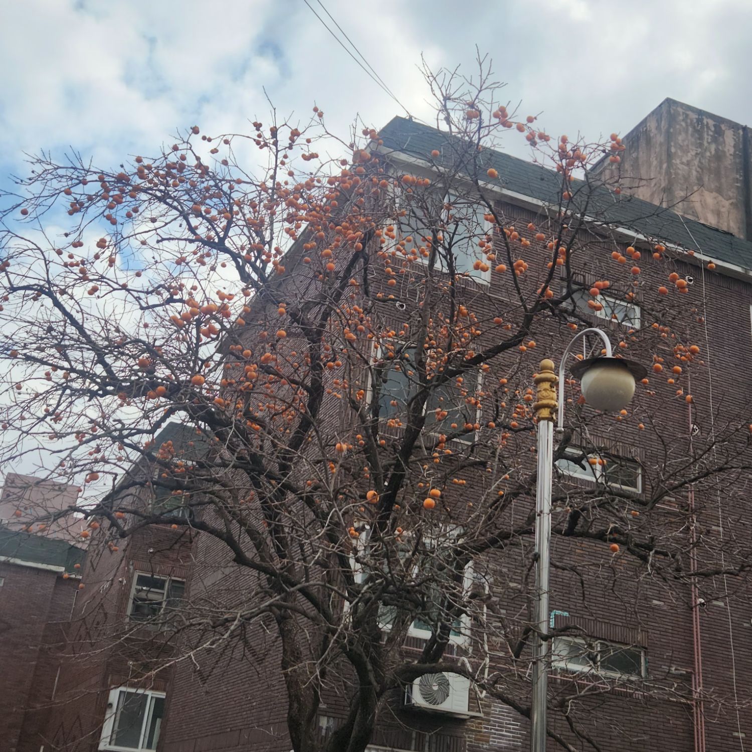 이찬원 최근 활동샷