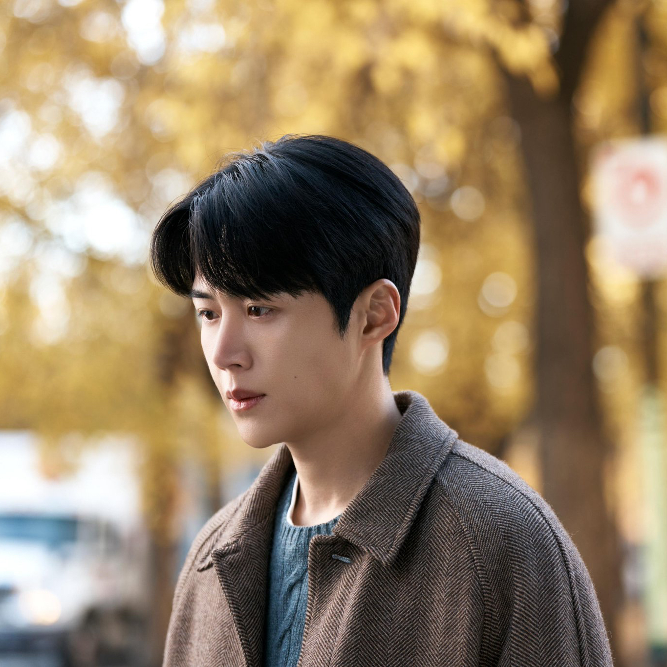 Recent activity shot of Kim Seonho