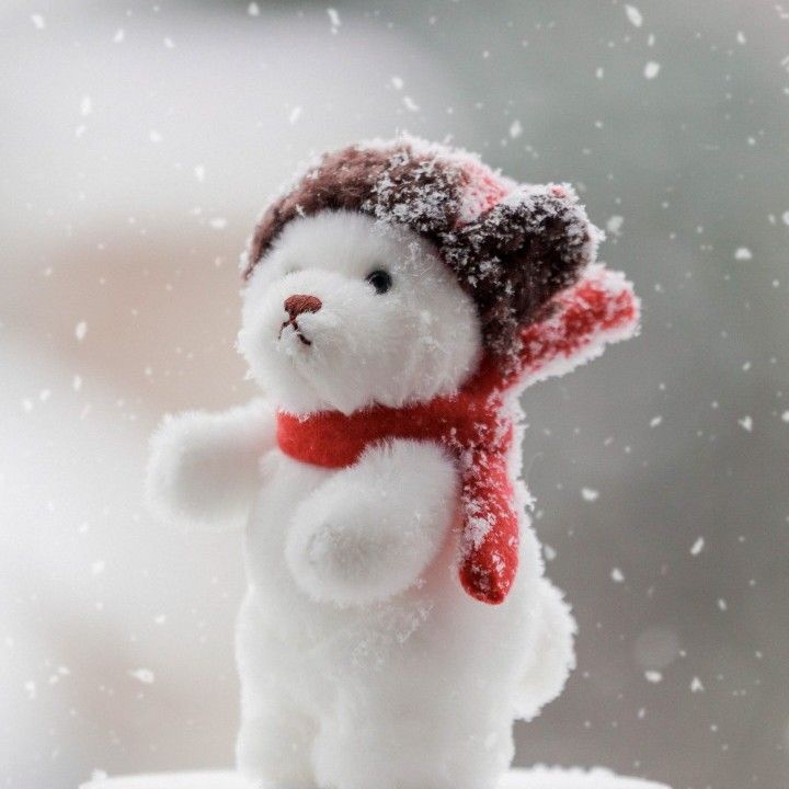 임영웅 최근 활동샷