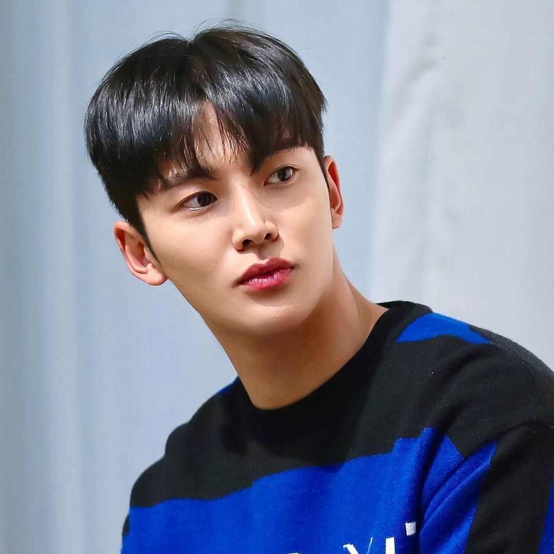 로운 최근 활동샷