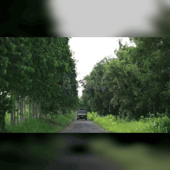 Behind-the-scenes cut of Fluke Gawin Caskey