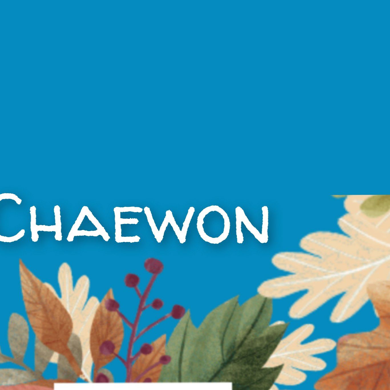 Latest photo of Moon Chaewon