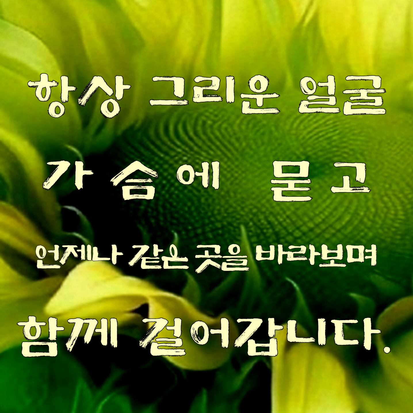 Latest photo of Kim Hojoong