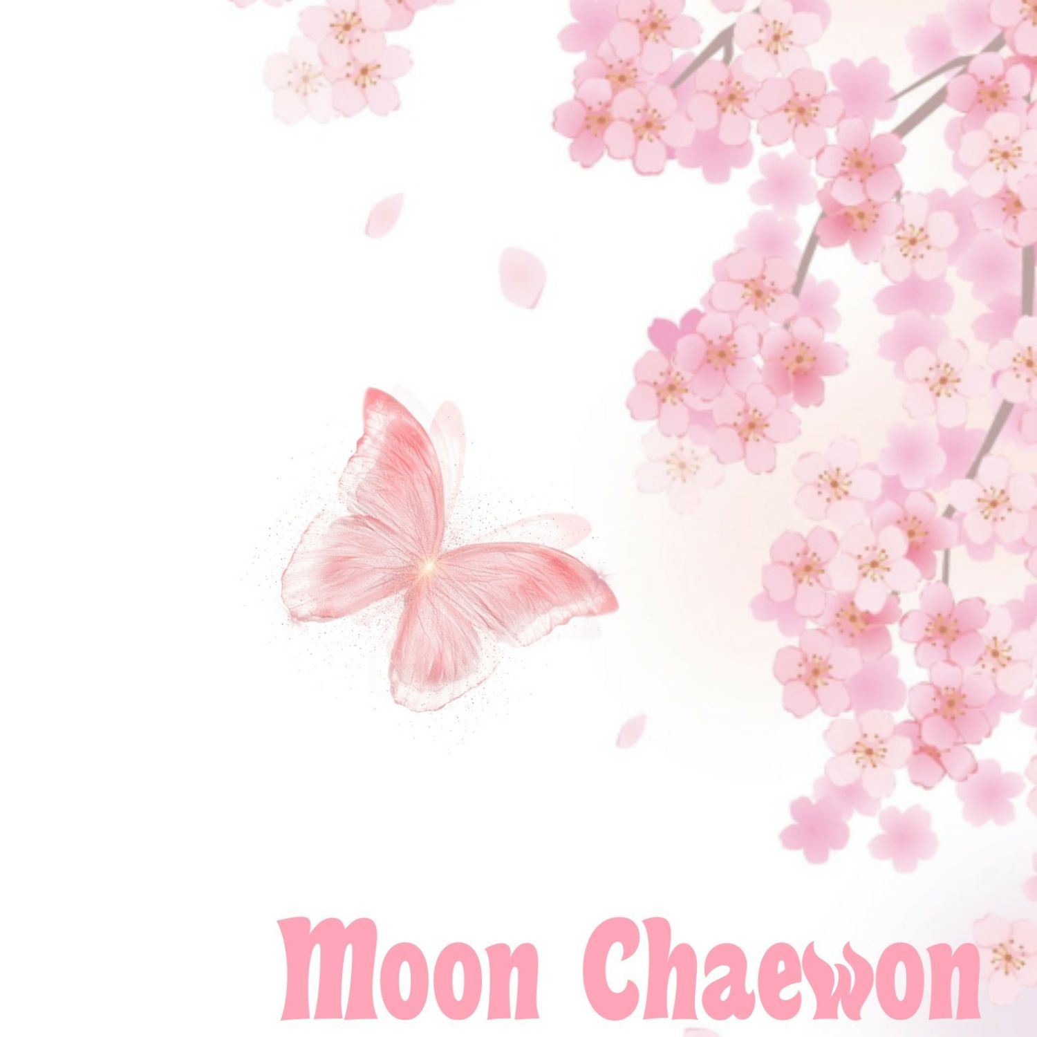 A moment captured by a fan of Moon Chaewon