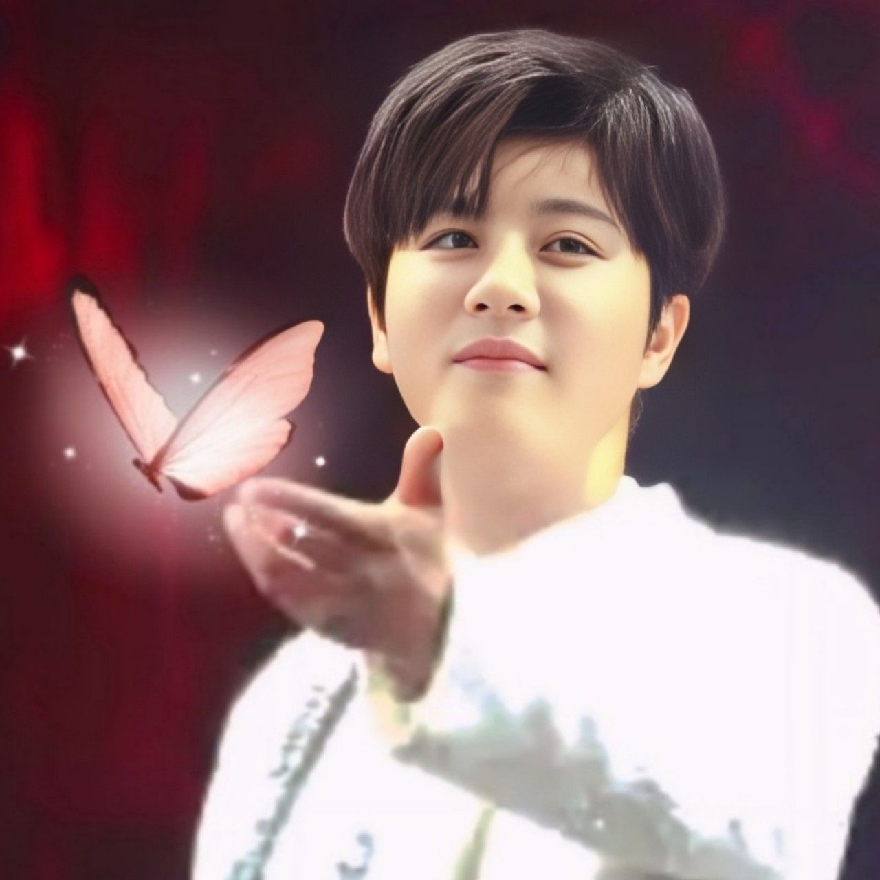 A moment captured by a fan of Jin Haesung