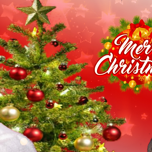 Latest photo of Kim Bum