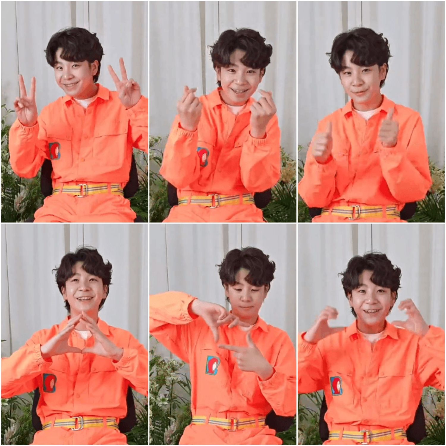 郑东元的最新照片