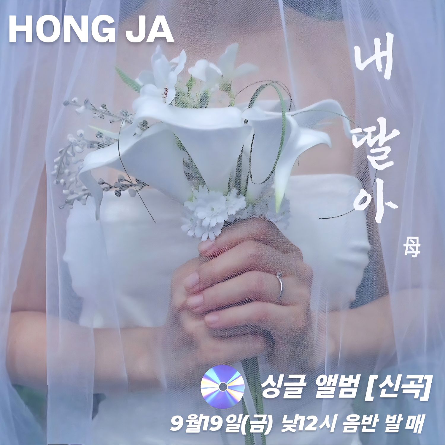 홍자 팬이 찍은 순간