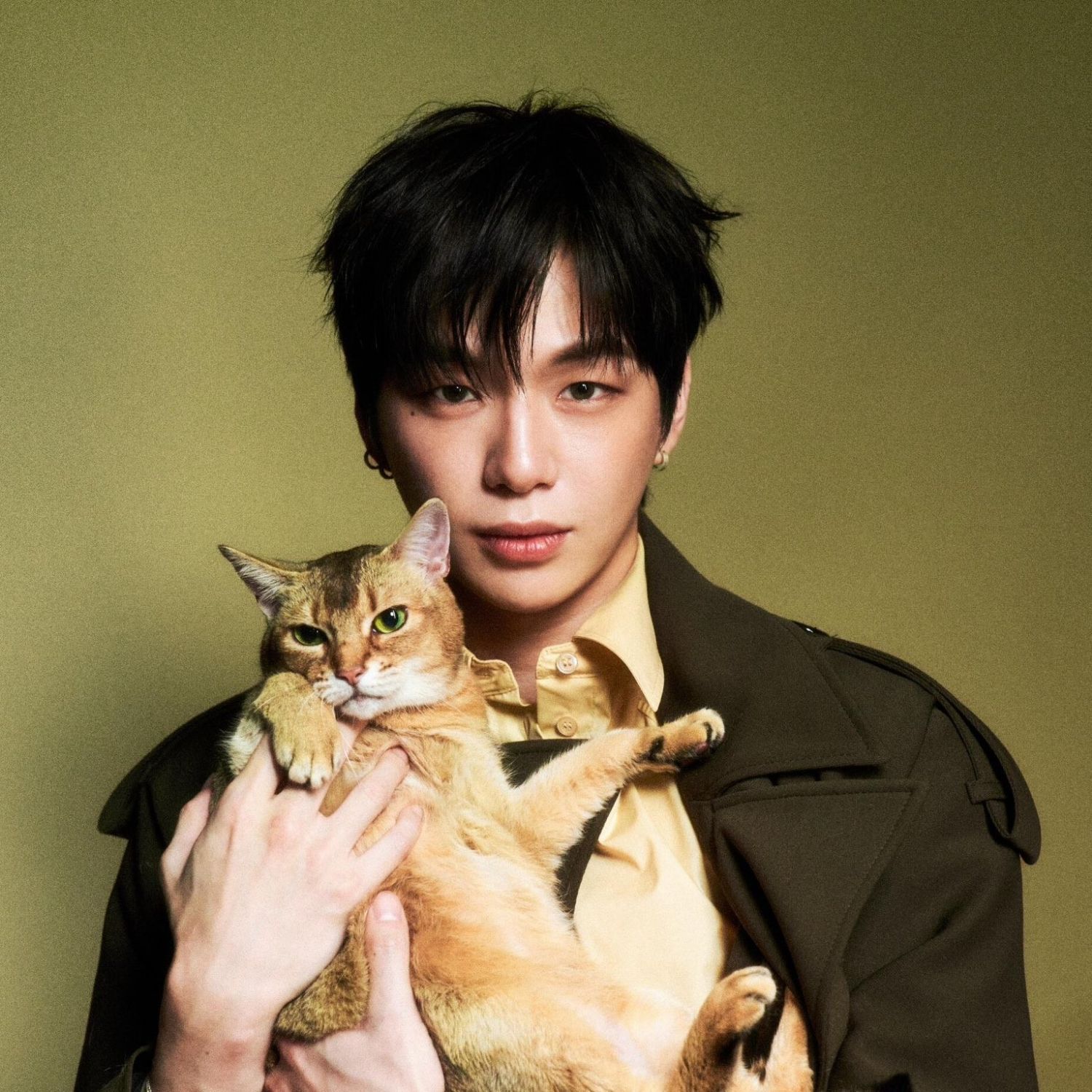 Recent activity shot of Secret Garden