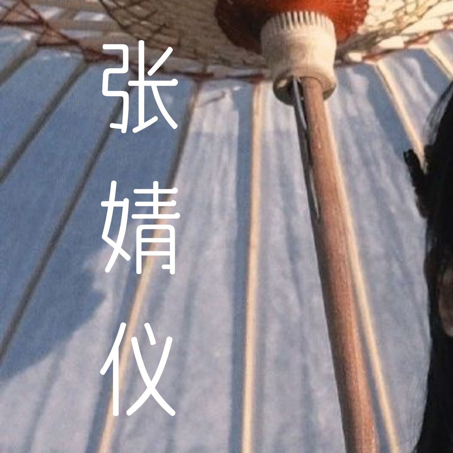 Recent activity shot of Jingyi Zhang