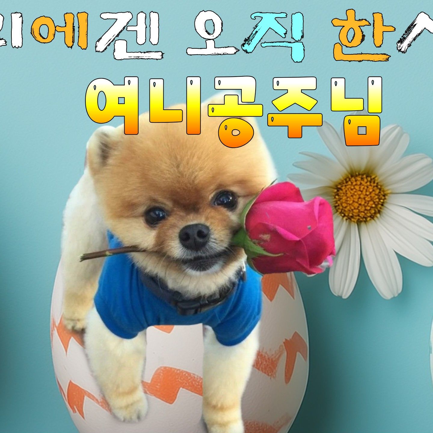 Recent activity shot of Lee Sooyeon