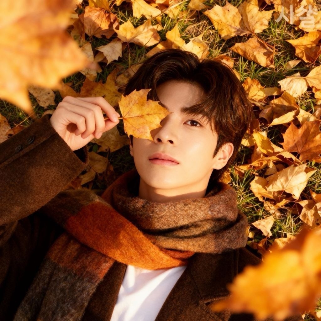 정동원 팬이 찍은 순간