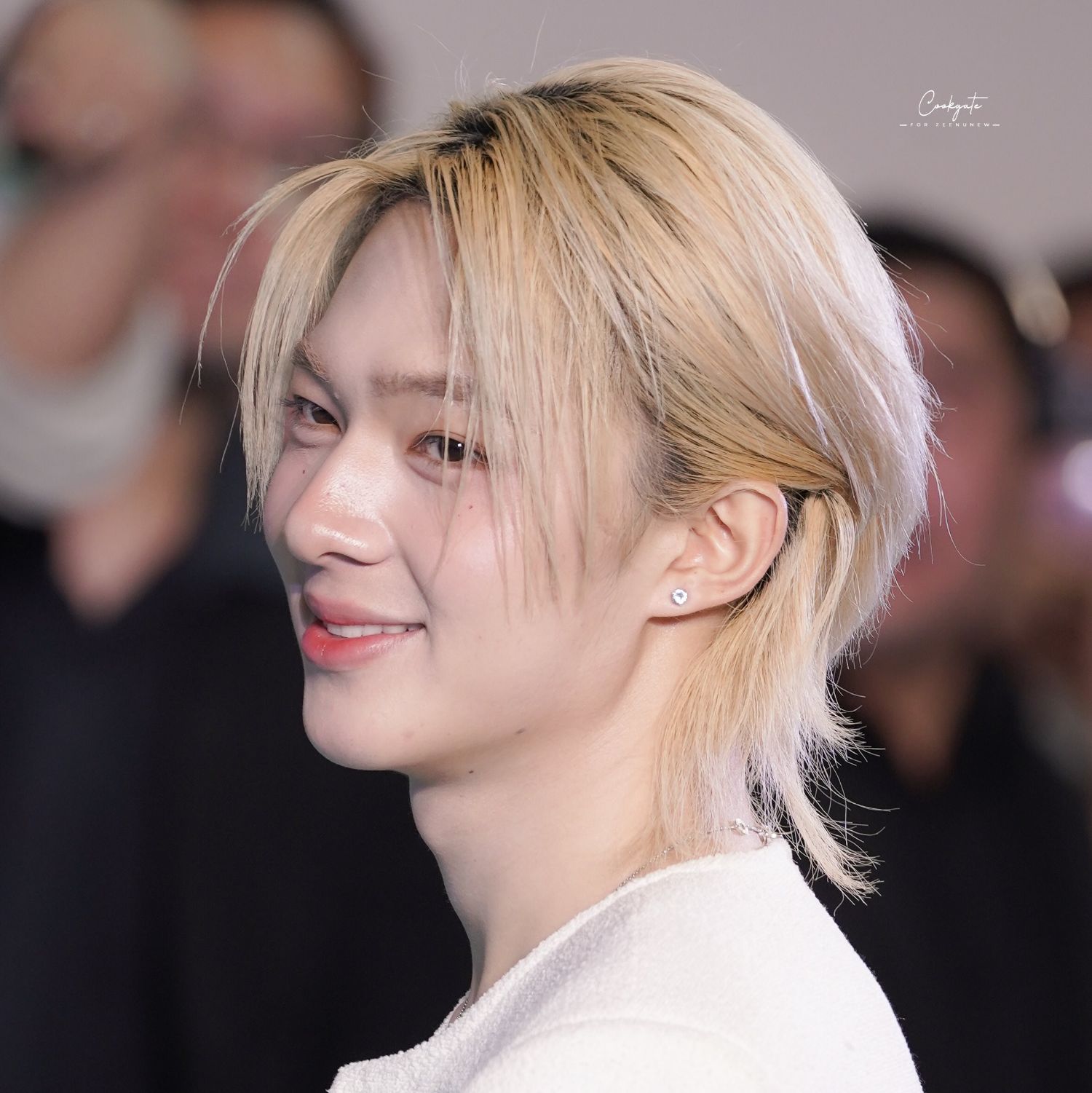 Recent activity shot of NuNew