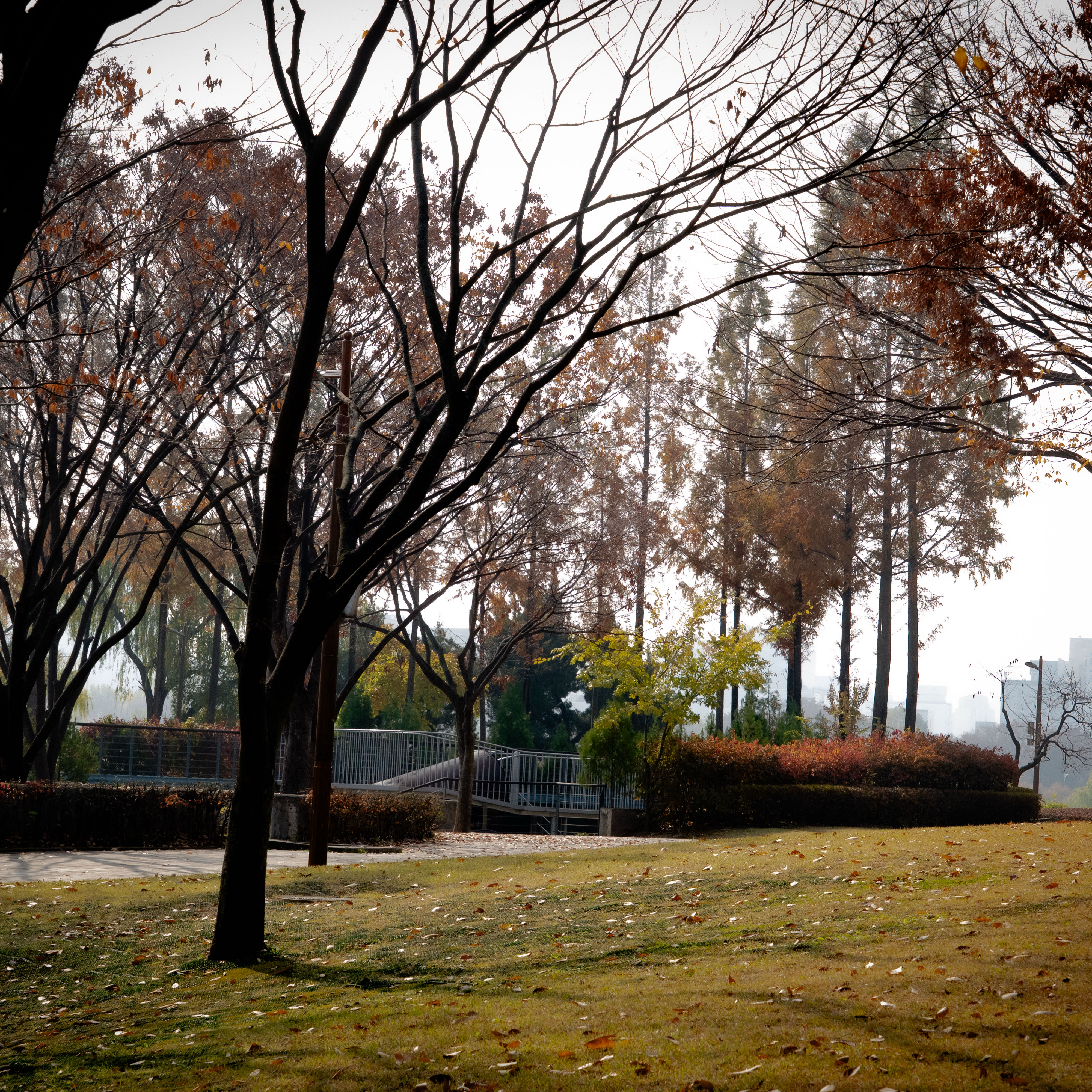 A moment captured by a fan of Kim Seonho