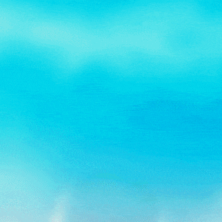 현빈 팬이 찍은 순간