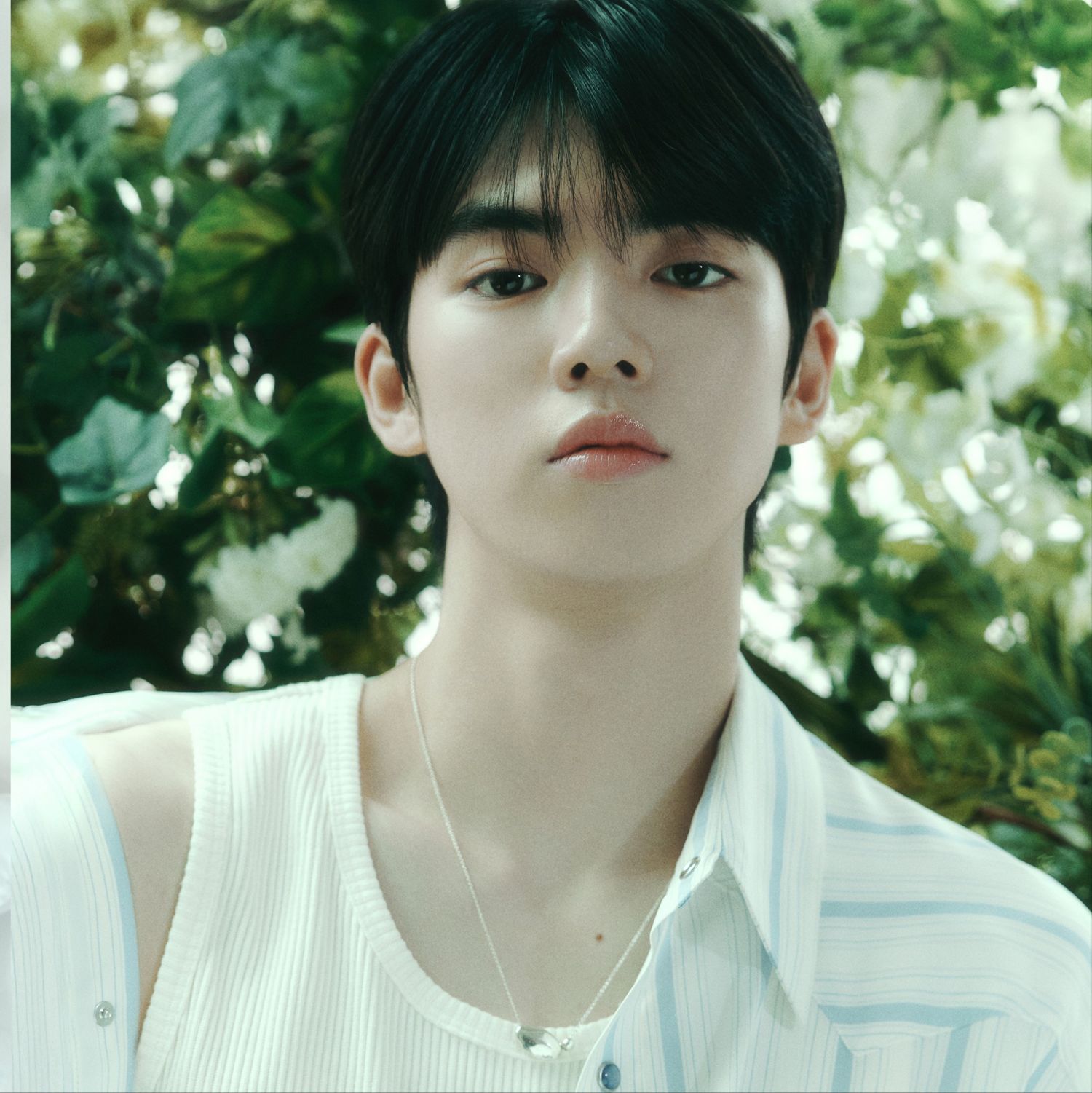 Recent activity shot of Cha Junhwan