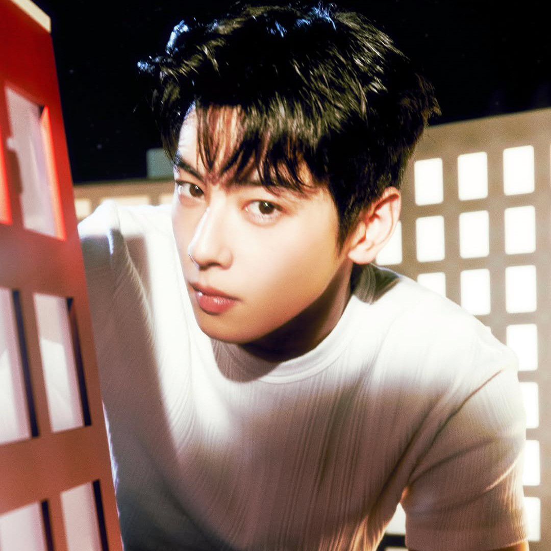 A moment captured by a fan of Cha Eunwoo