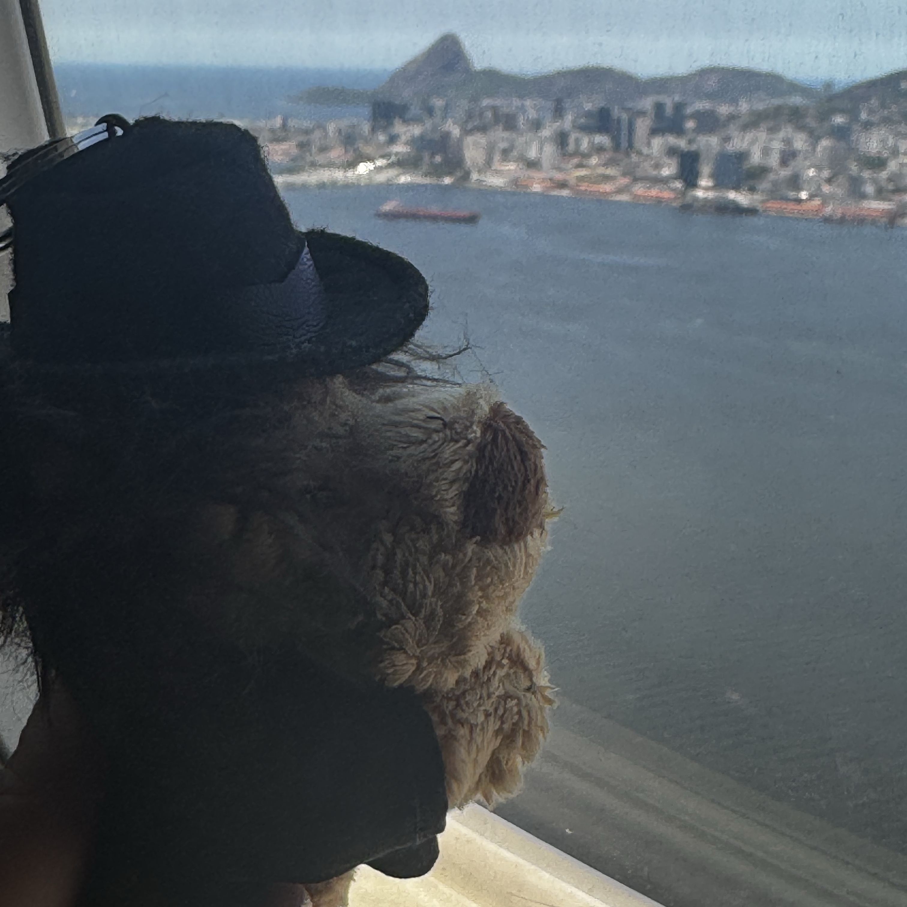 李敏鎬的近期活動照