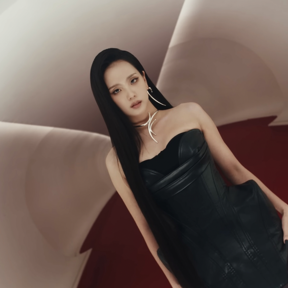 A moment captured by a fan of Jisoo (1995)