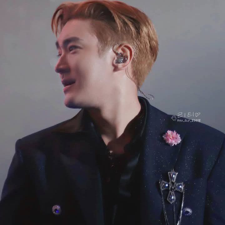 Recent activity shot of Choi Siwon