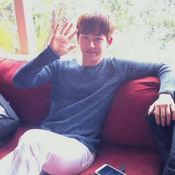 A moment captured by a fan of Hoya