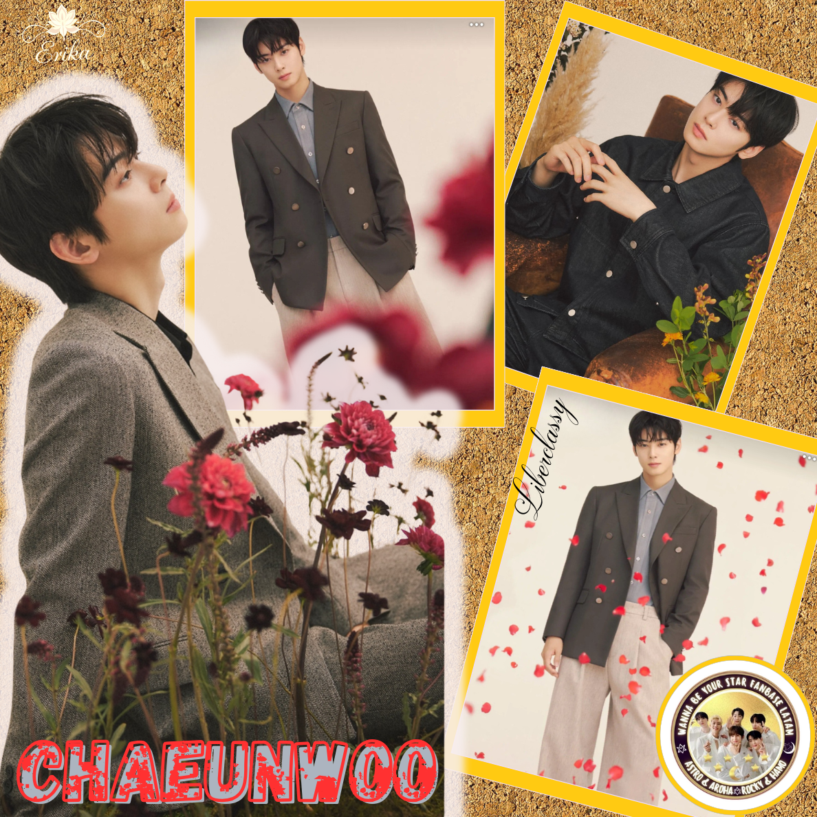 A moment captured by a fan of Cha Eunwoo