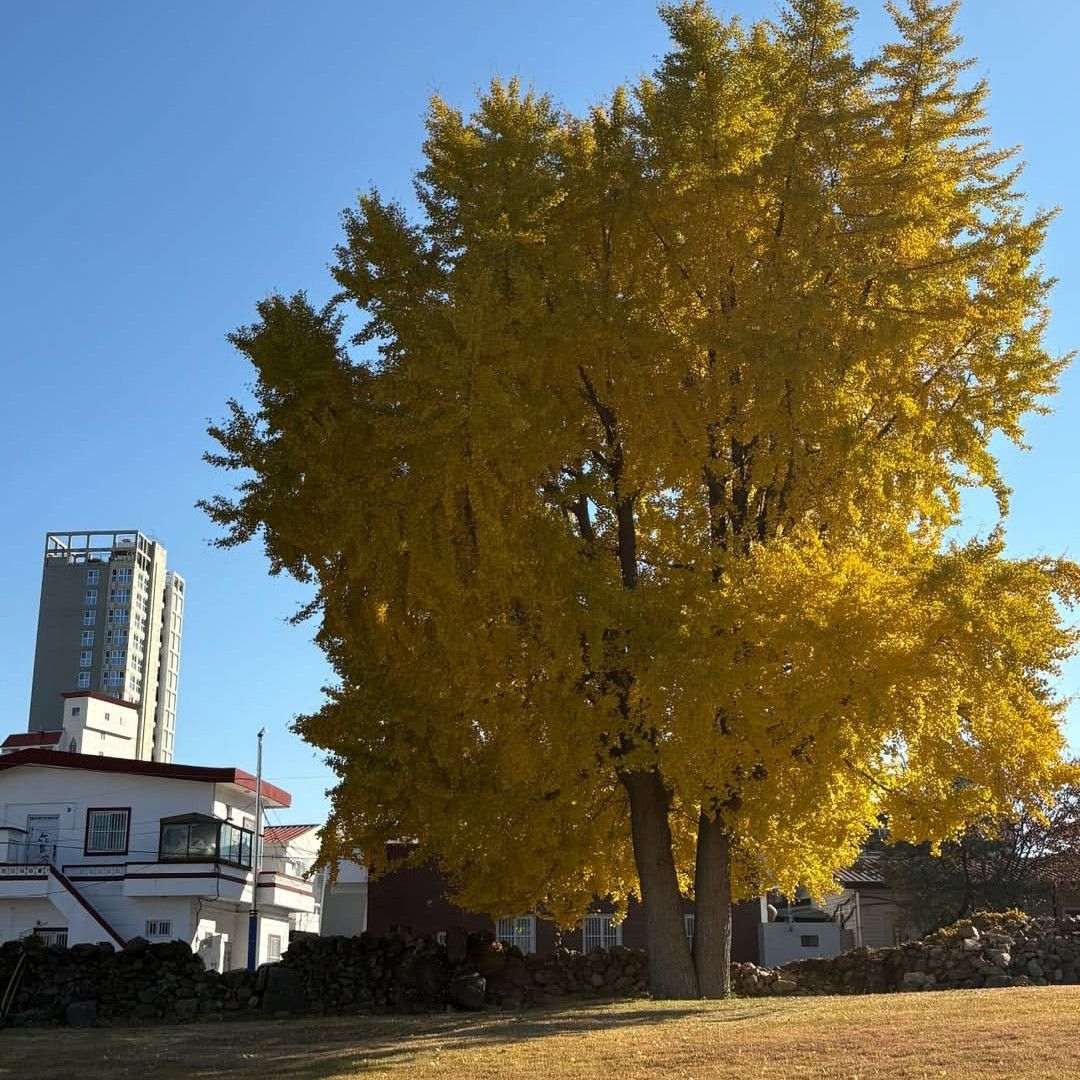 이민호의 비하인드 컷