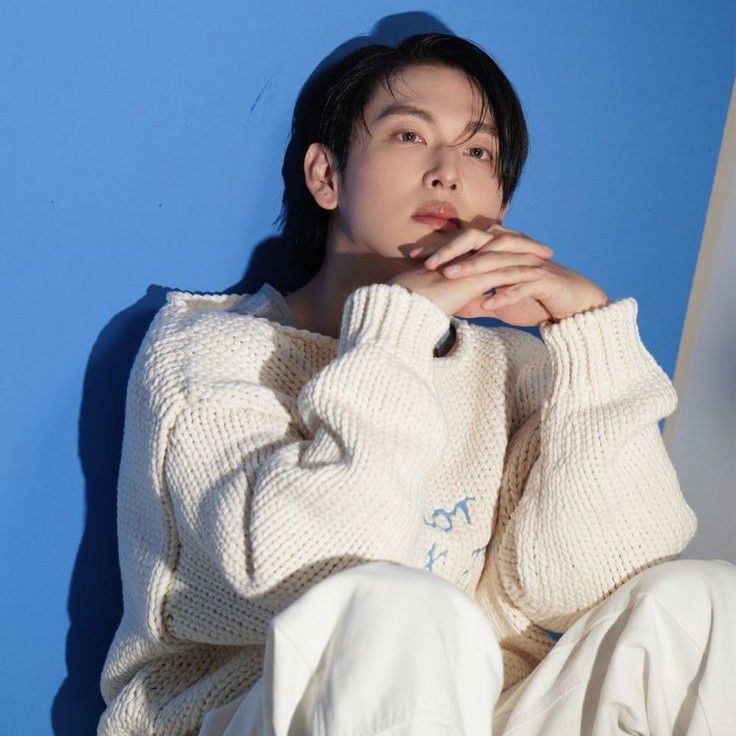 A moment captured by a fan of Yim Siwan