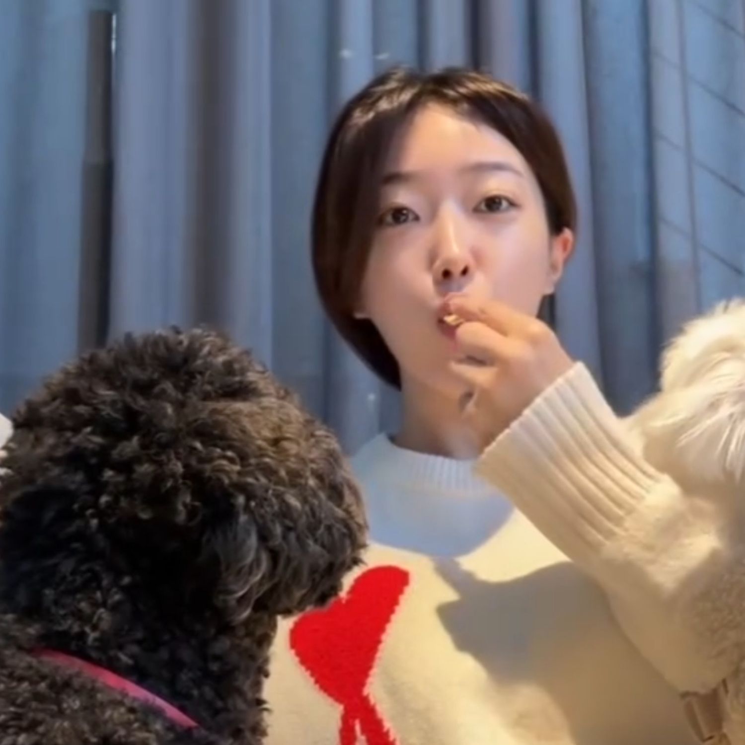 강혜연 최근 활동샷