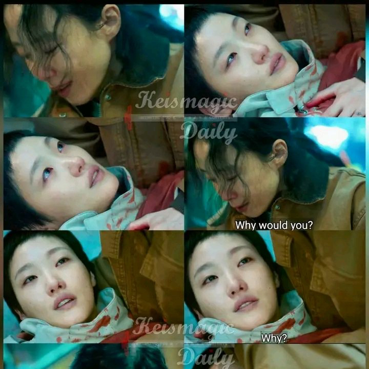 金高銀的近期活動照