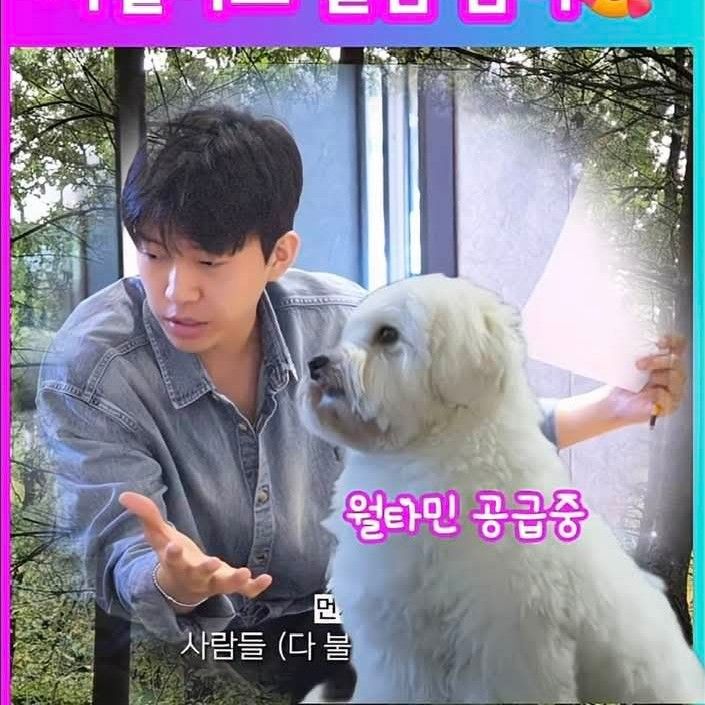 임영웅 팬이 찍은 순간
