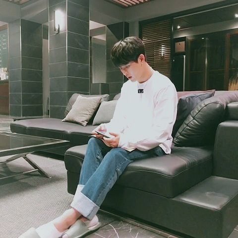 A moment captured by a fan of Hoya