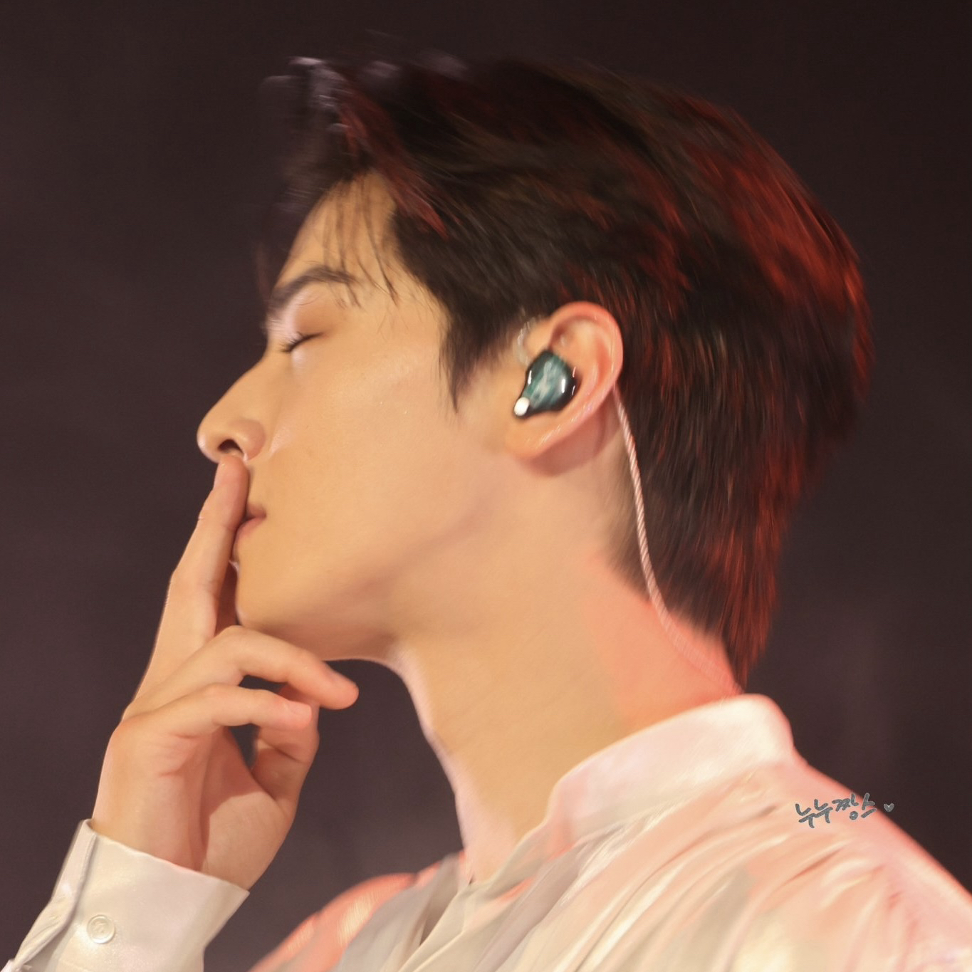 ファンが撮影したチャ・ウヌの瞬間