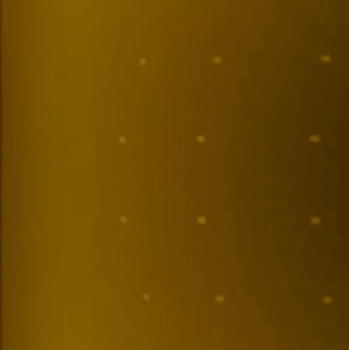 Latest photo of Dylan Wang