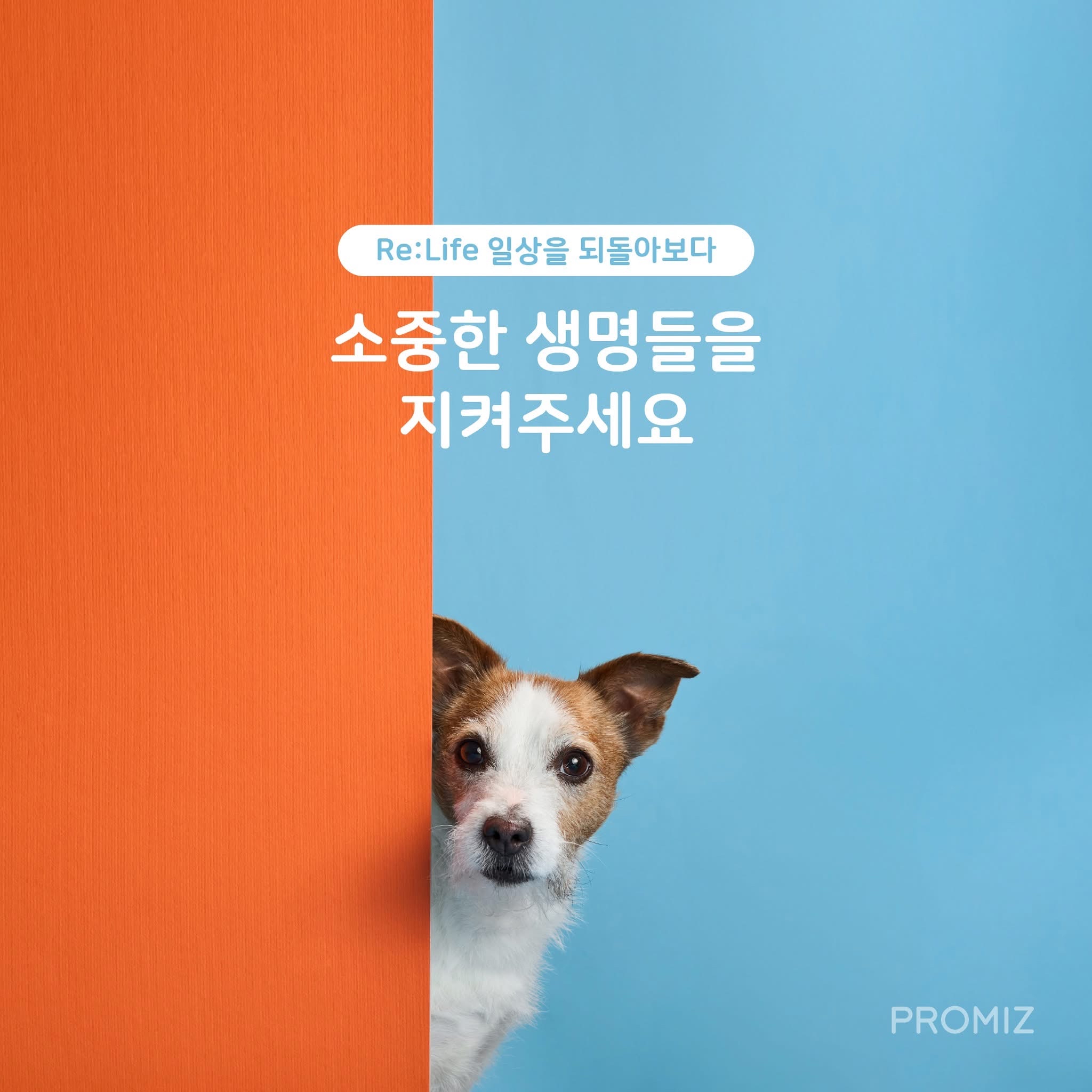 이민호의 최신 사진