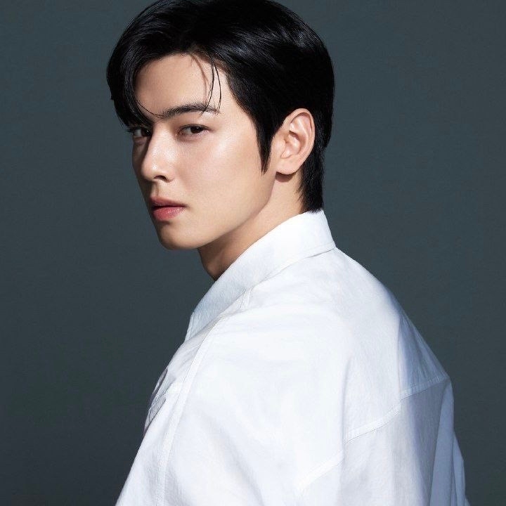 Recent activity shot of Cha Eunwoo