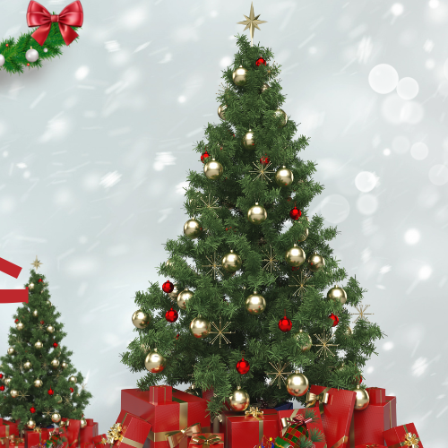 路云的近期活动照