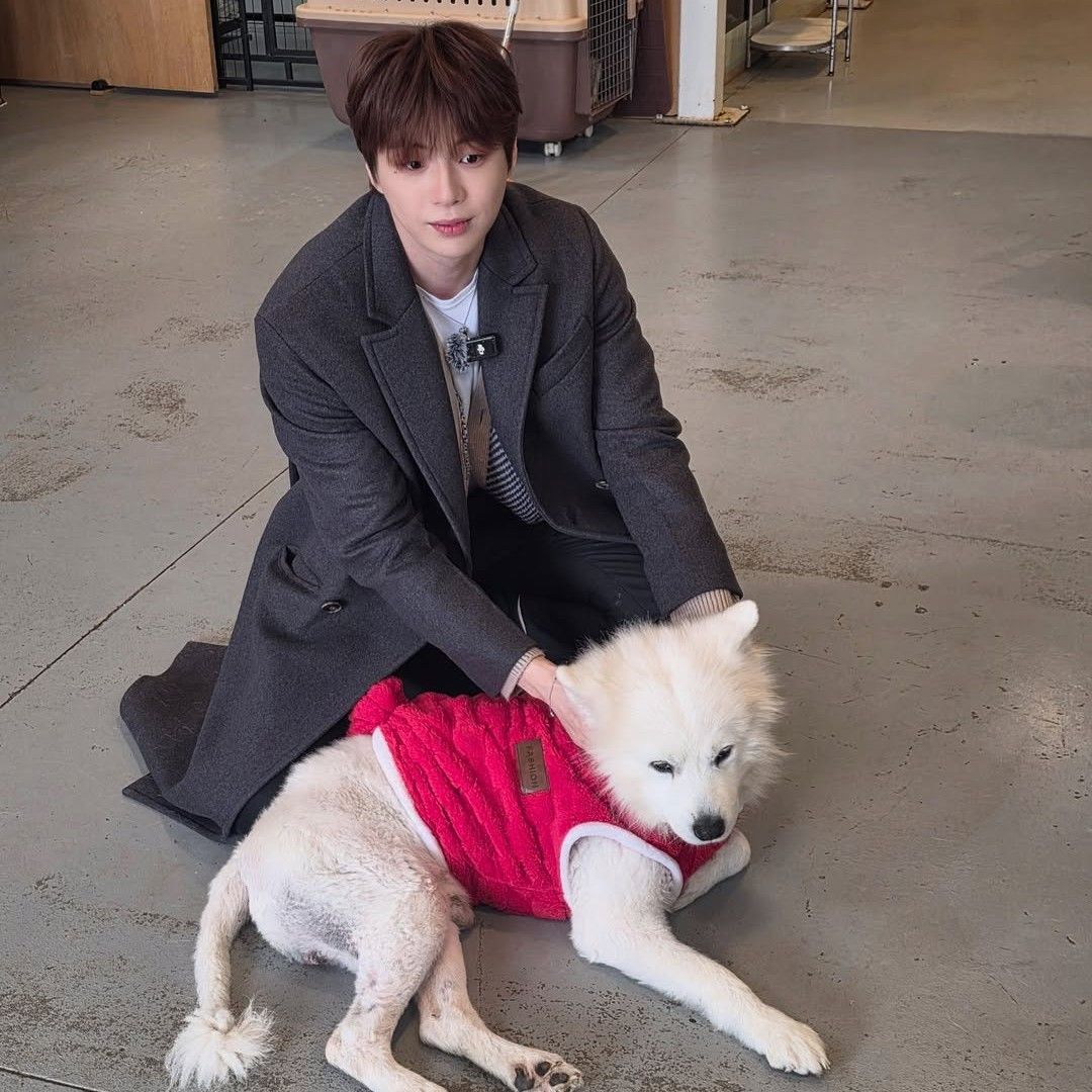 Recent activity shot of Secret Garden