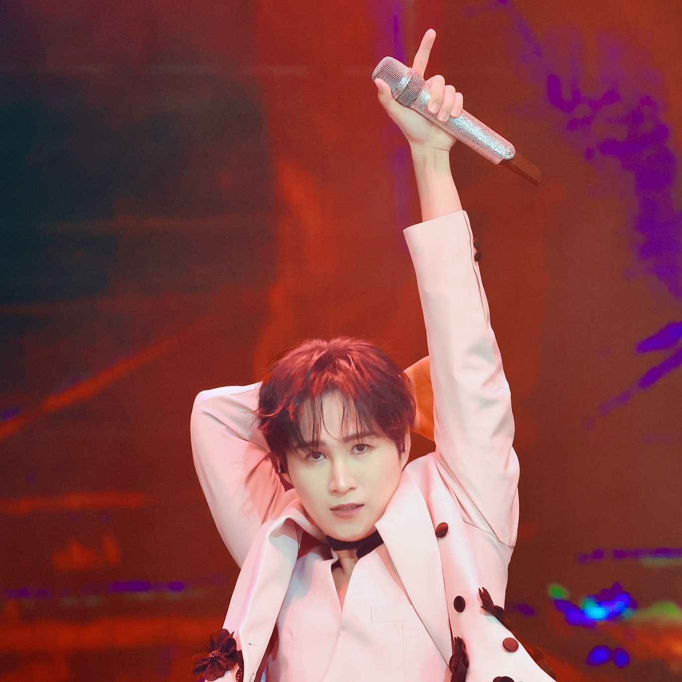 金熙栽的近期活动照