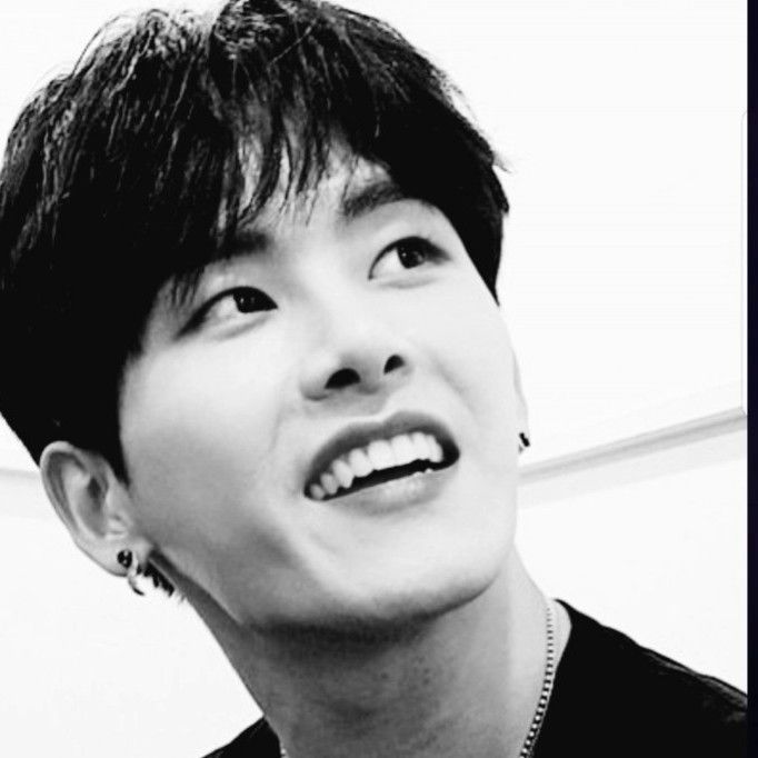 A moment captured by a fan of Hoya